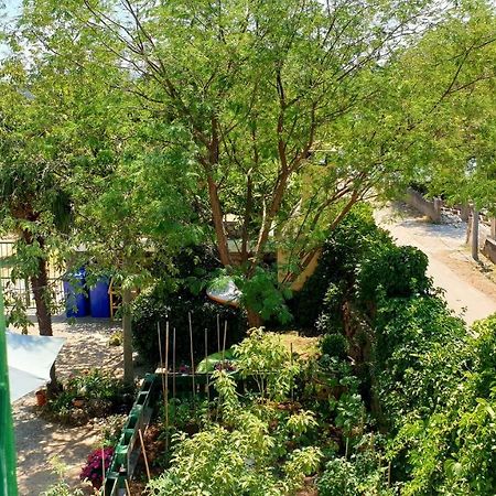 Apartmani Paron Sime Seline Extérieur photo